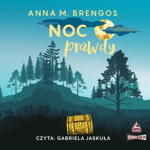 Tytuł: Noc prawdy
Autor: Anna M. Brengos
Wydawnictwo: Storybox
Formaty: MP3