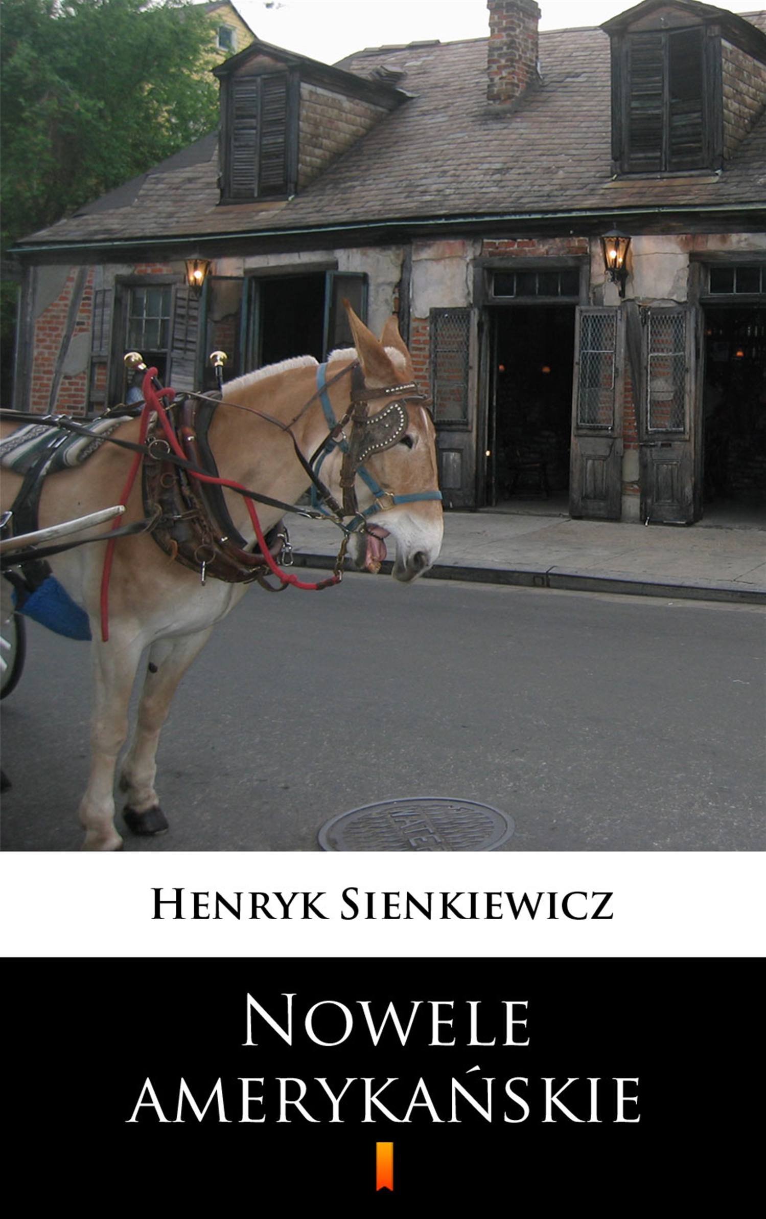 Nowele amerykańskie — okładka e-booka