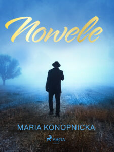 Nowele — okładka e-booka