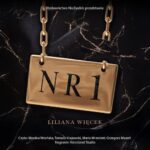 Tytuł: Nr 1
Autor: Liliana Więcek
Wydawnictwo: NieZwykłe
Formaty: MP3
