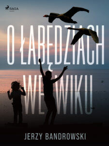 O łabędziach we wiku — okładka e-booka