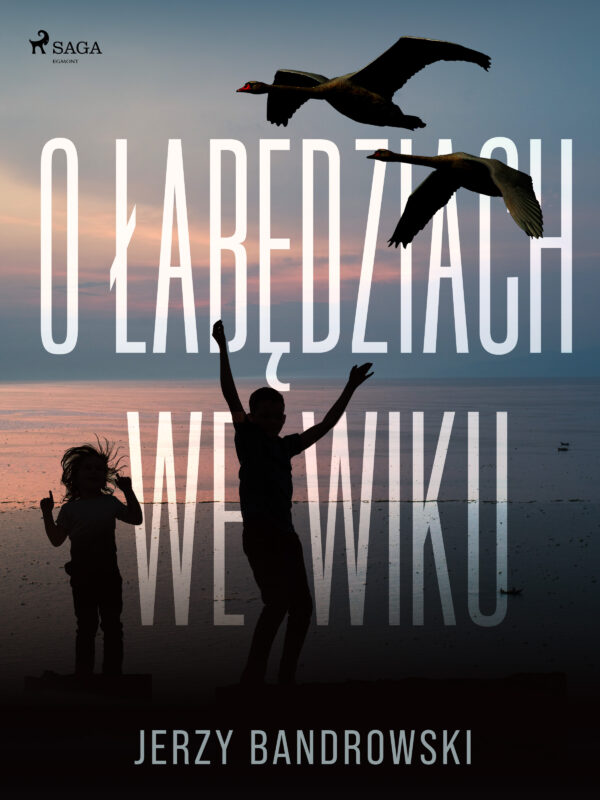 O łabędziach we wiku — okładka e-booka