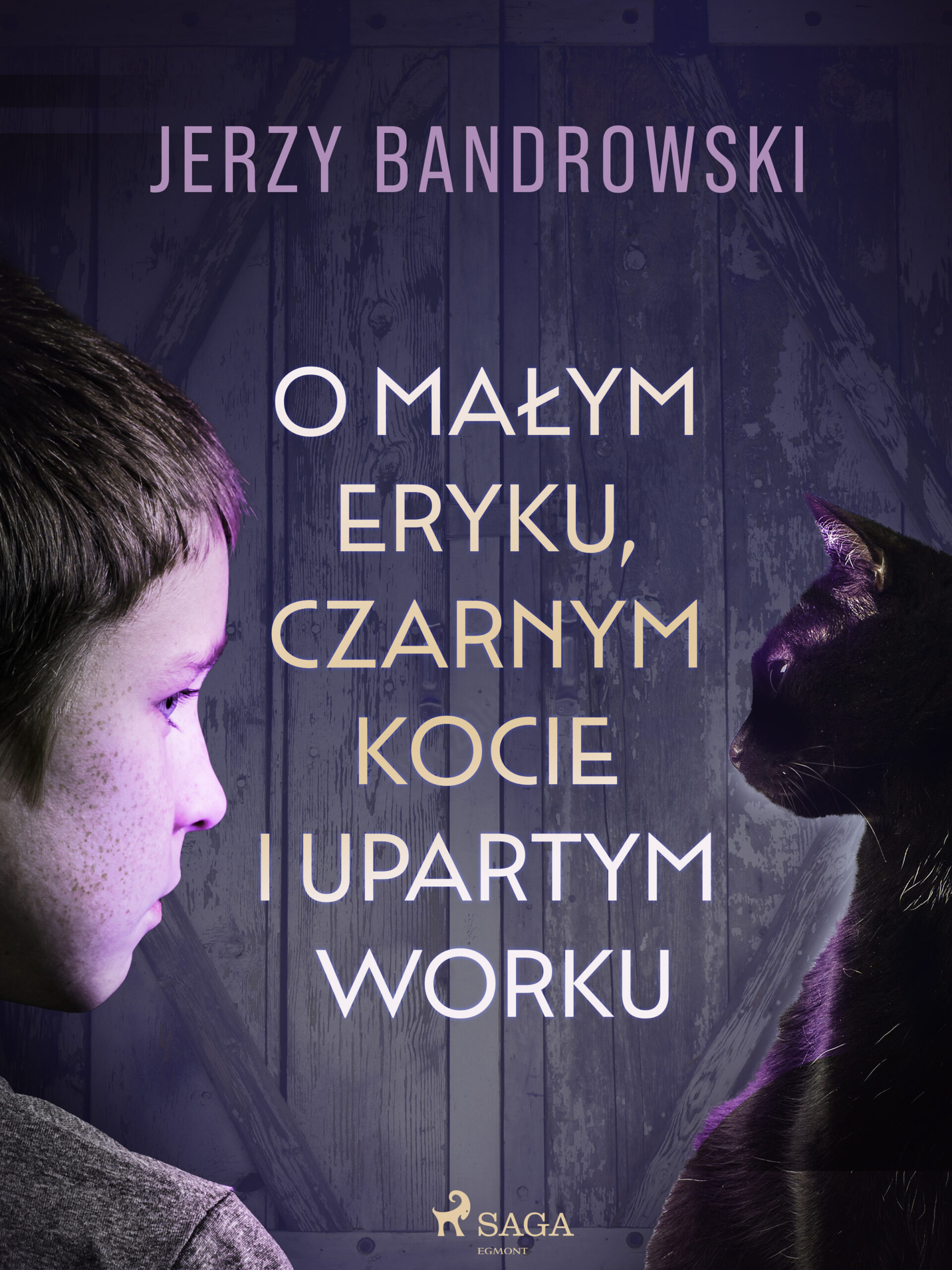 Tytuł: O małym Eryku, czarnym kocie i upartym worku
Autor: Jerzy Bandrowski
Wydawnictwo: SAGA Egmont
Formaty: EPUB, MOBI