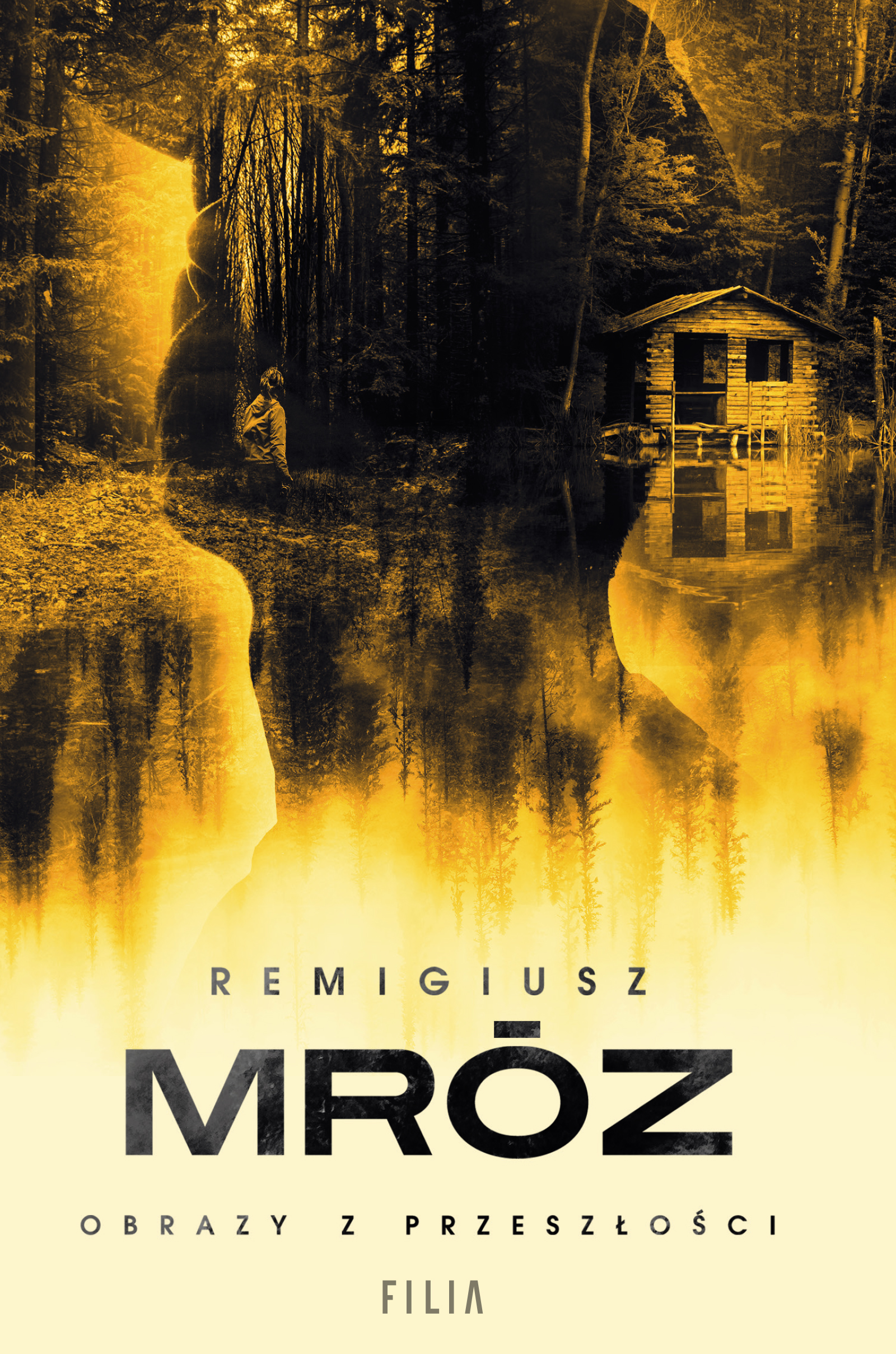 Tytuł: Obrazy z przeszłości
Autor: Remigiusz Mróz
Wydawnictwo: FILIA
Formaty: EPUB, MOBI