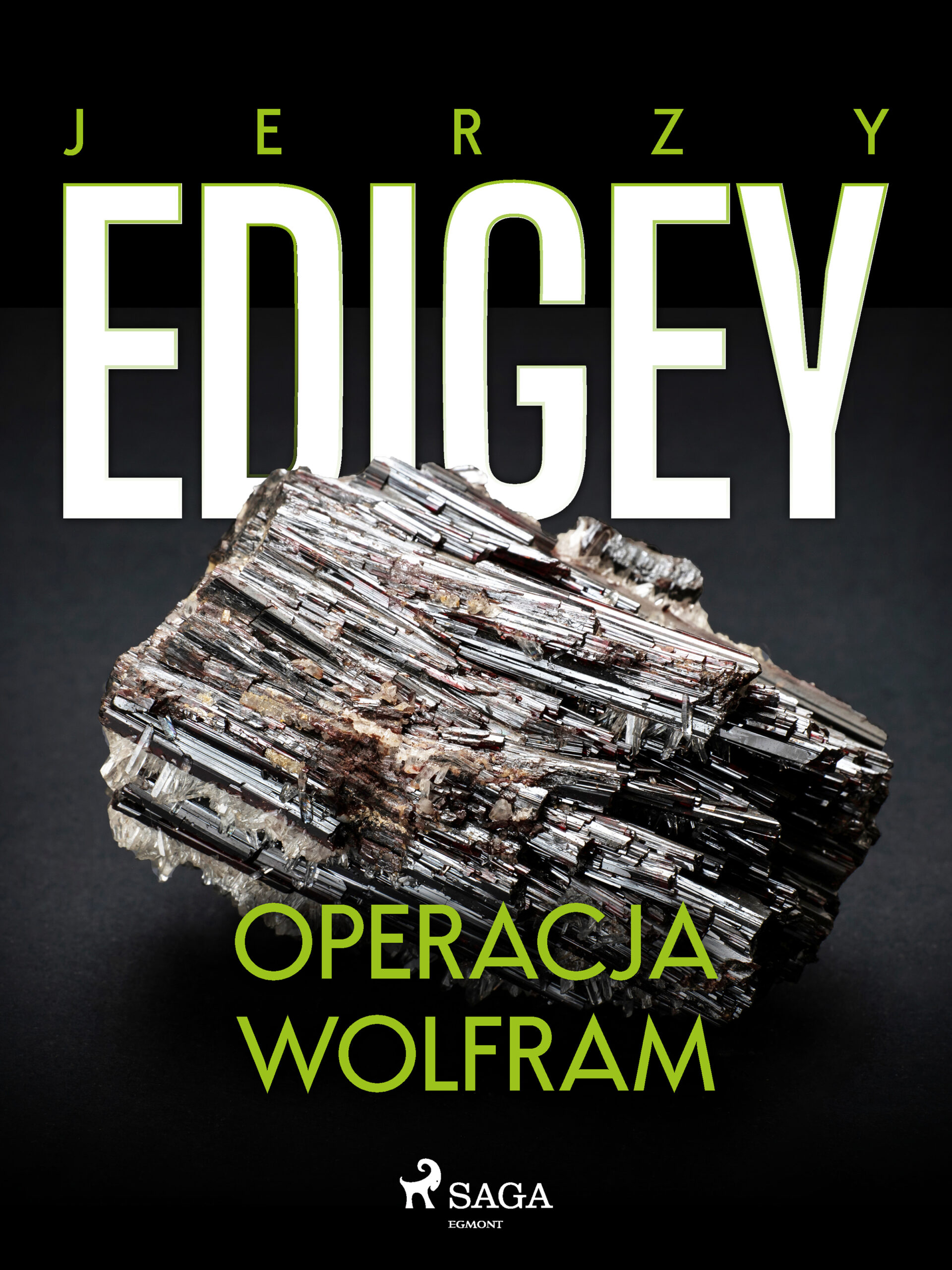 Tytuł: Operacja Wolfram
Autor: Jerzy Edigey
Wydawnictwo: SAGA Egmont
Formaty: EPUB, MOBI