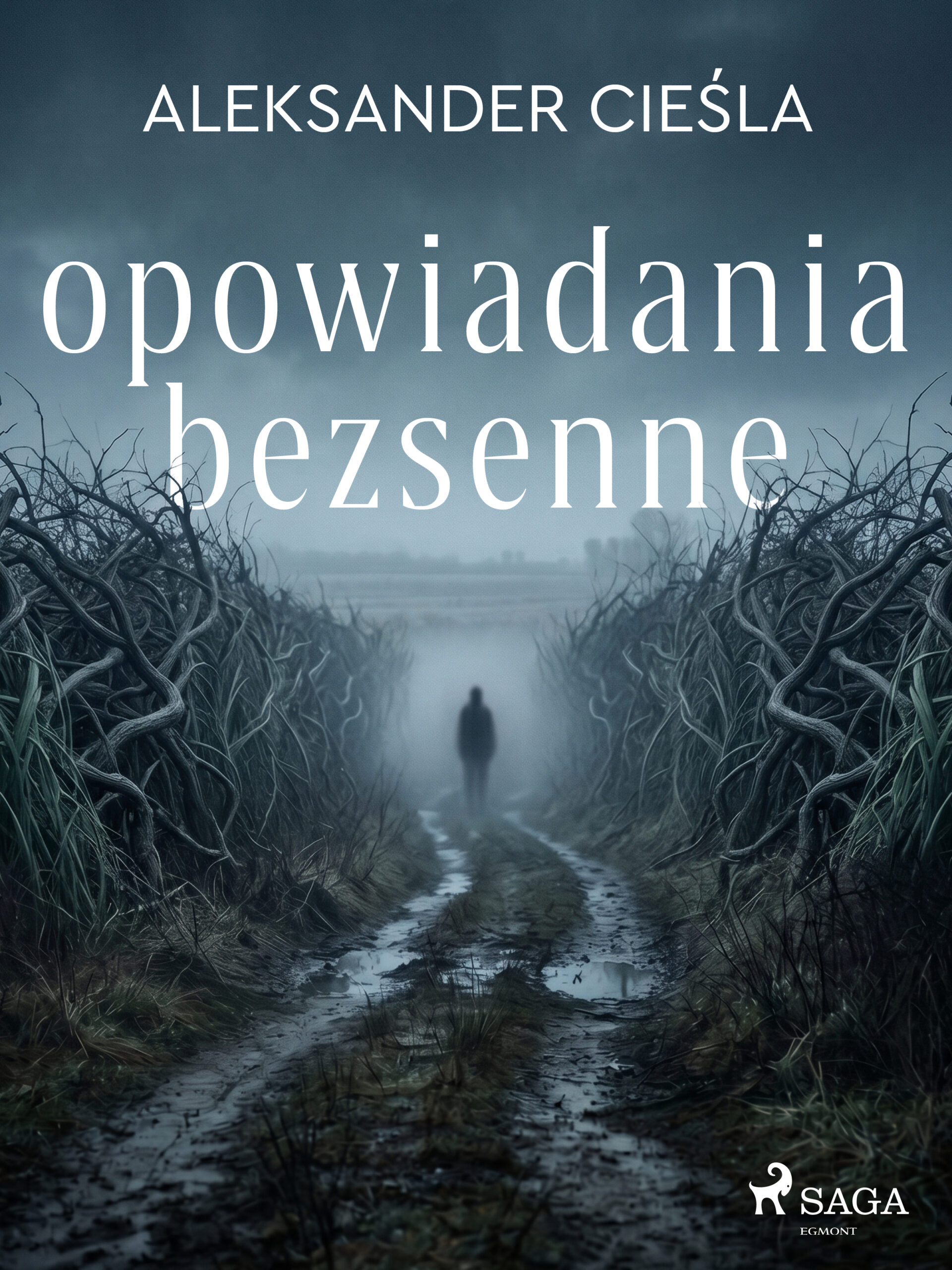 Tytuł: Opowiadania bezsenne
Autor: Aleksander Cieśla
Wydawnictwo: Saga Egmont
Formaty: EPUB, MOBI