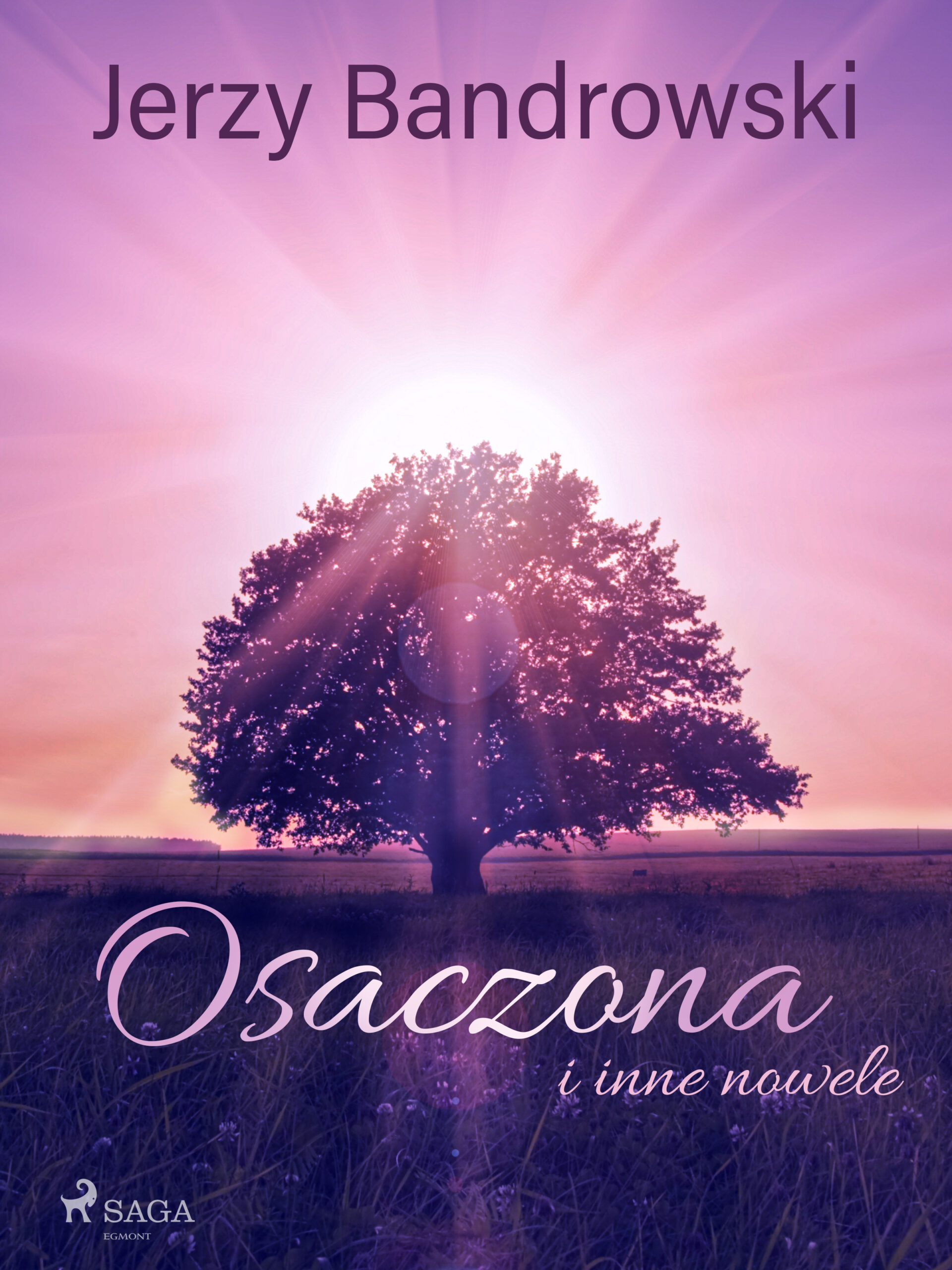 Tytuł: Osaczona i inne nowele
Autor: Jerzy Bandrowski
Wydawnictwo: SAGA Egmont
Formaty: EPUB, MOBI
