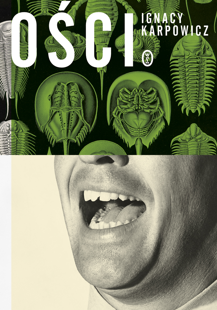 Tytuł: ości
Autor: Ignacy Karpowicz
Wydawnictwo: Wydawnictwo Literackie
Formaty: EPUB, MOBI