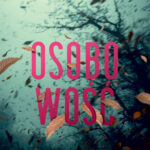 Tytuł: Osobowość
Autor: Aleksandra Sygut
Wydawnictwo: Novae Res
Formaty: EPUB, MOBI