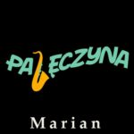 Pajęczyna — okładka e-booka