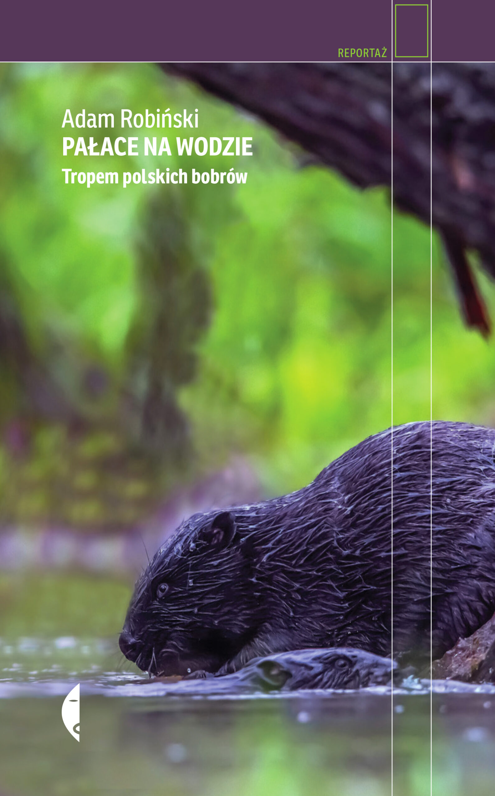 Tytuł: Pałace na wodzie. Tropem polskich bobrów
Autor: Adam Robiński
Wydawnictwo: Wydawnictwo Czarne
Formaty: EPUB, MOBI