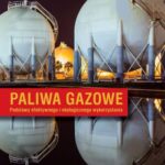 Paliwa gazowe — okładka e-booka