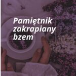 Pamiętnik zakrapiany bzem — okładka e-booka