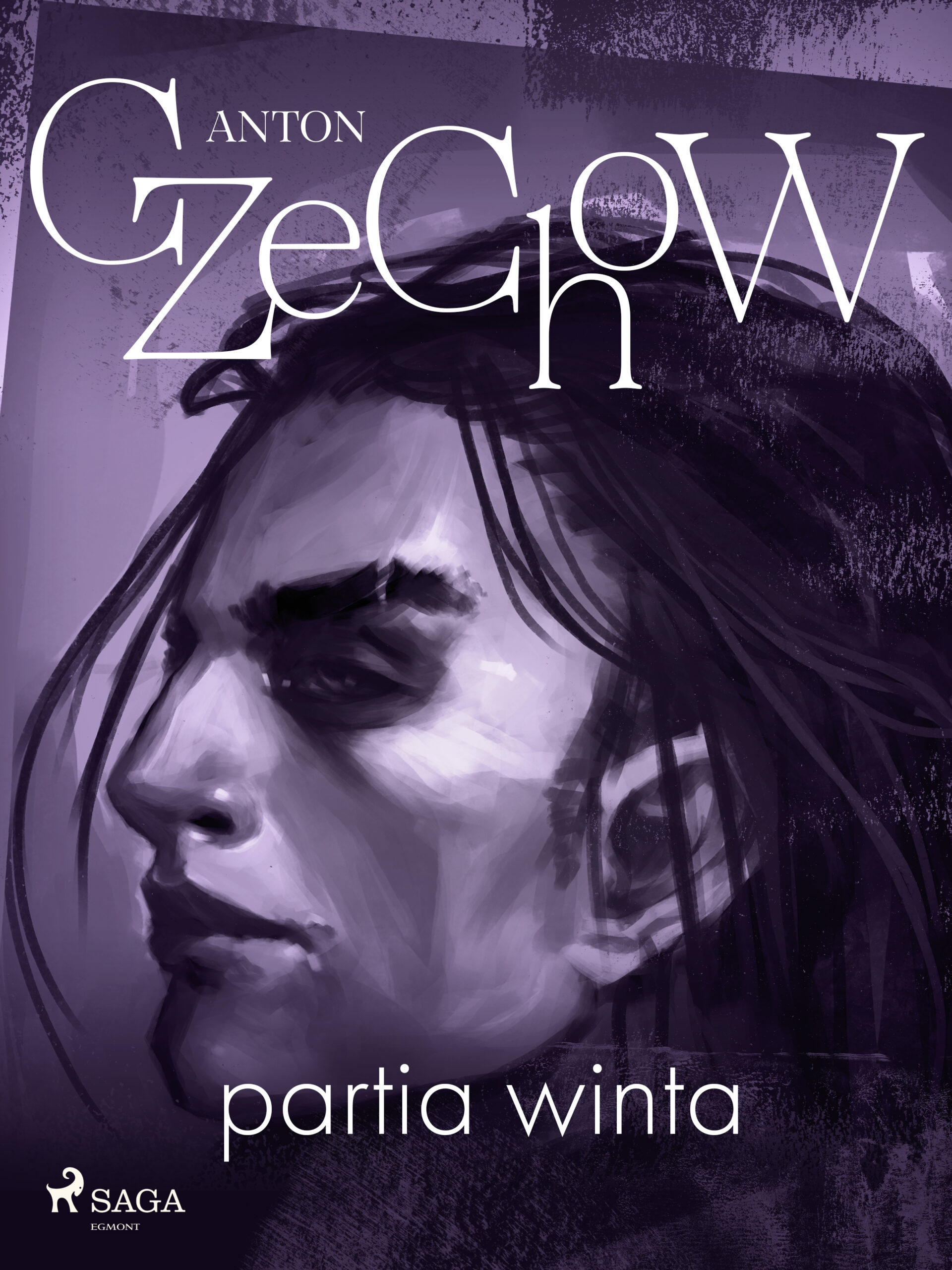 Partia winta - zbiór opowiadań — okładka e-booka