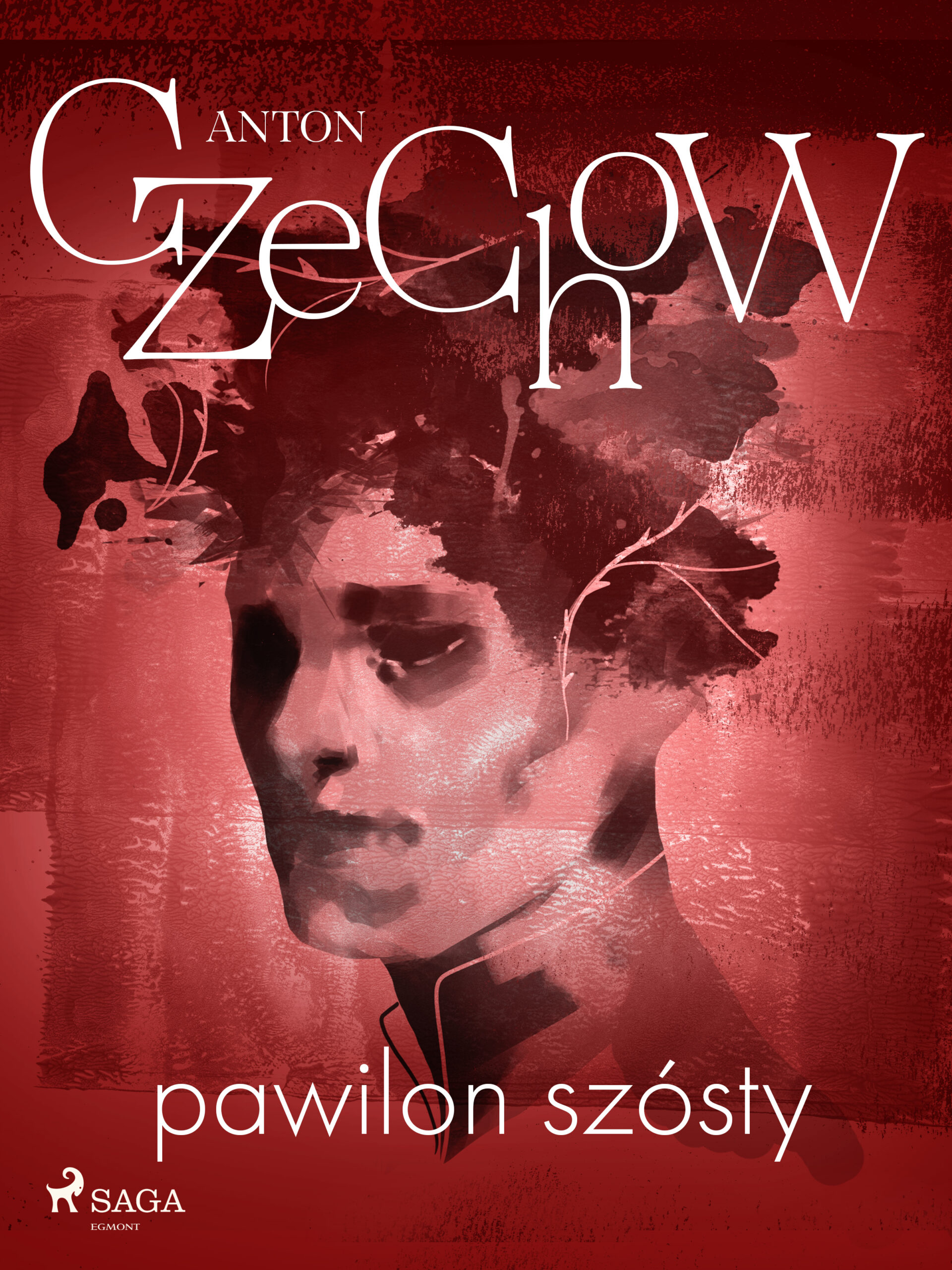 Pawilon szósty — okładka e-booka