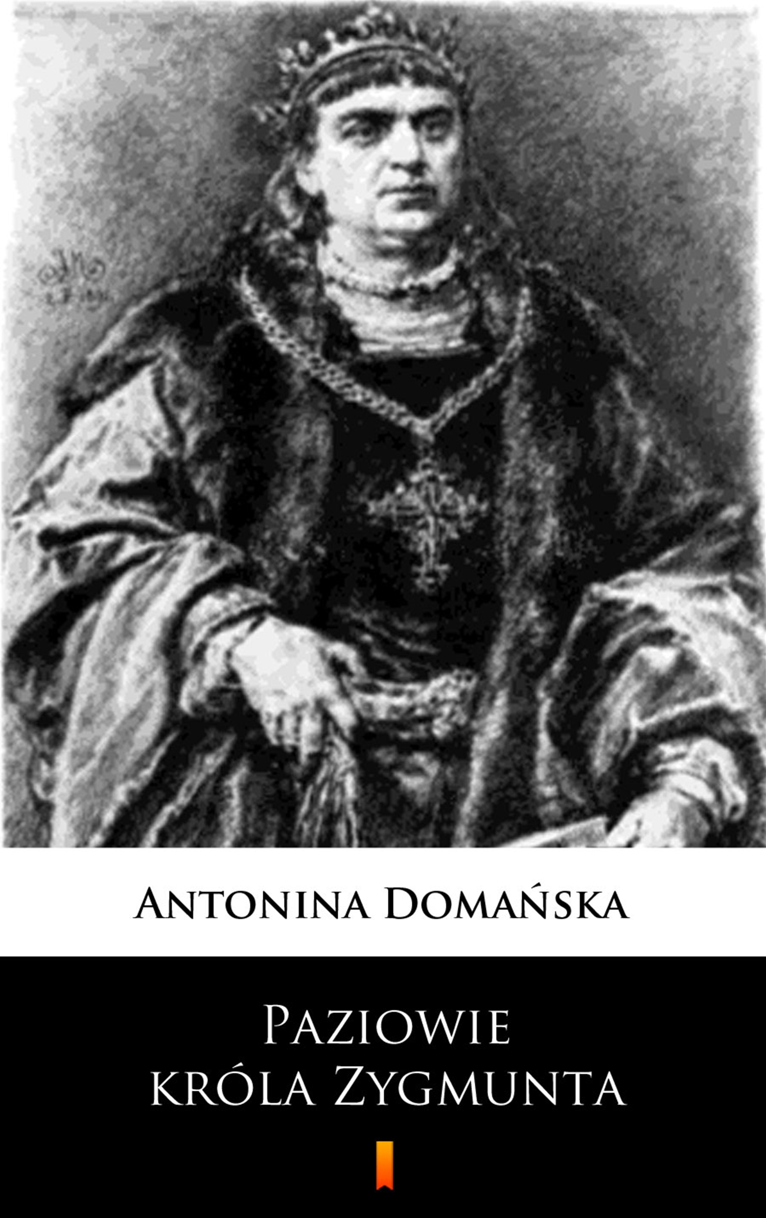 Tytuł: Paziowie króla Zygmunta
Autor: Antonina Domańska
Wydawnictwo: KtoCzyta.pl
Formaty: EPUB, MOBI