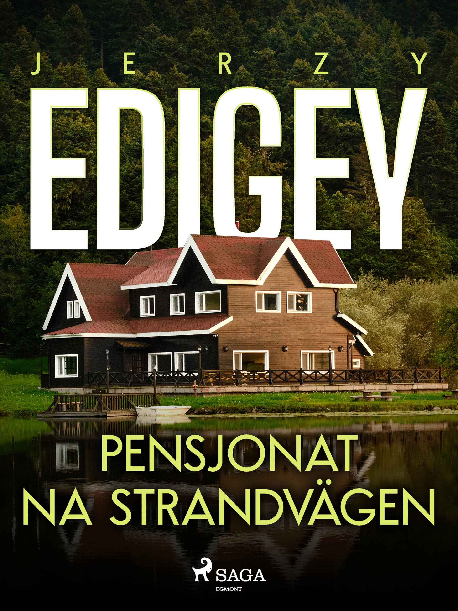 Tytuł: Pensjonat na Strandvägen
Autor: Jerzy Edigey
Wydawnictwo: SAGA Egmont
Formaty: EPUB, MOBI