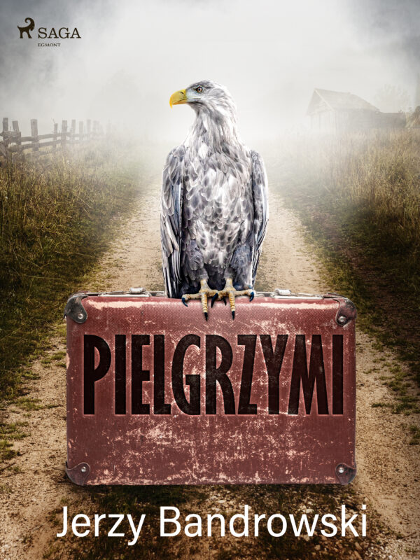 Pielgrzymi — okładka e-booka