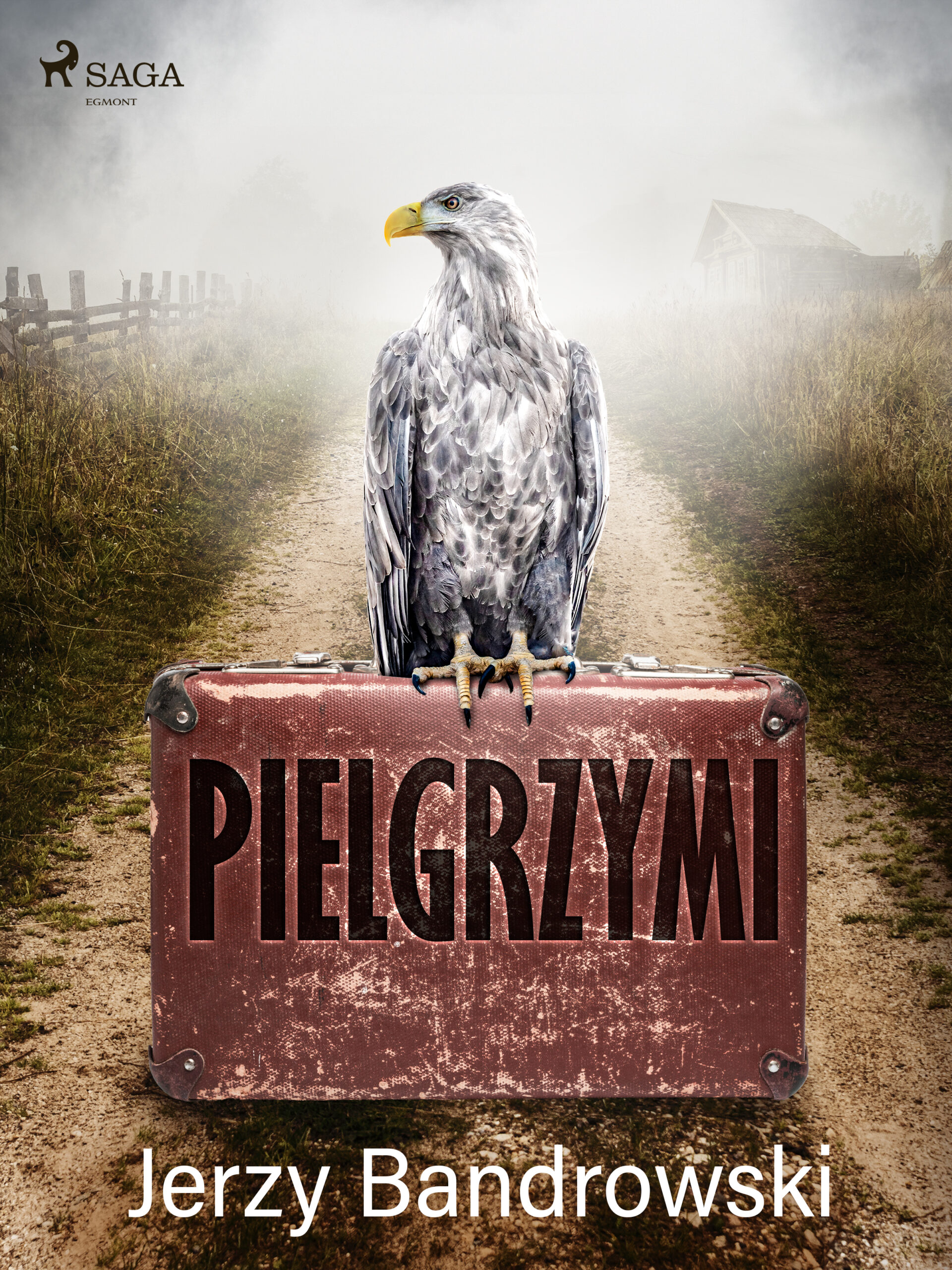 Tytuł: Pielgrzymi
Autor: Jerzy Bandrowski
Wydawnictwo: SAGA Egmont
Formaty: EPUB, MOBI