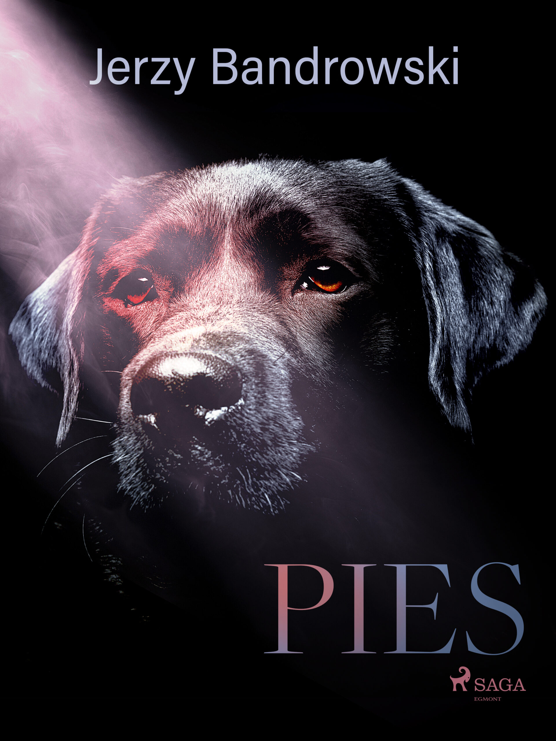 Tytuł: Pies
Autor: Jerzy Bandrowski
Wydawnictwo: SAGA Egmont
Formaty: EPUB, MOBI