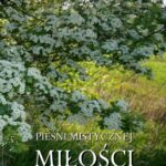 Tytuł: Pieśni mistycznej miłości
Autor: Antologia
Wydawnictwo: Armoryka
Formaty: EPUB, MOBI