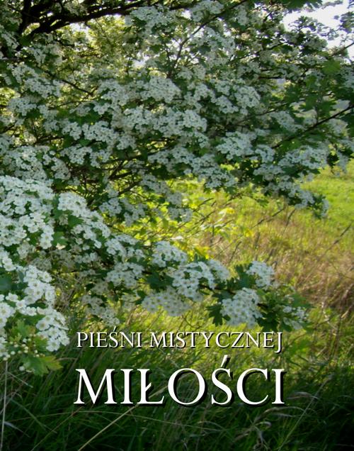 Tytuł: Pieśni mistycznej miłości
Autor: Antologia
Wydawnictwo: Armoryka
Formaty: EPUB, MOBI