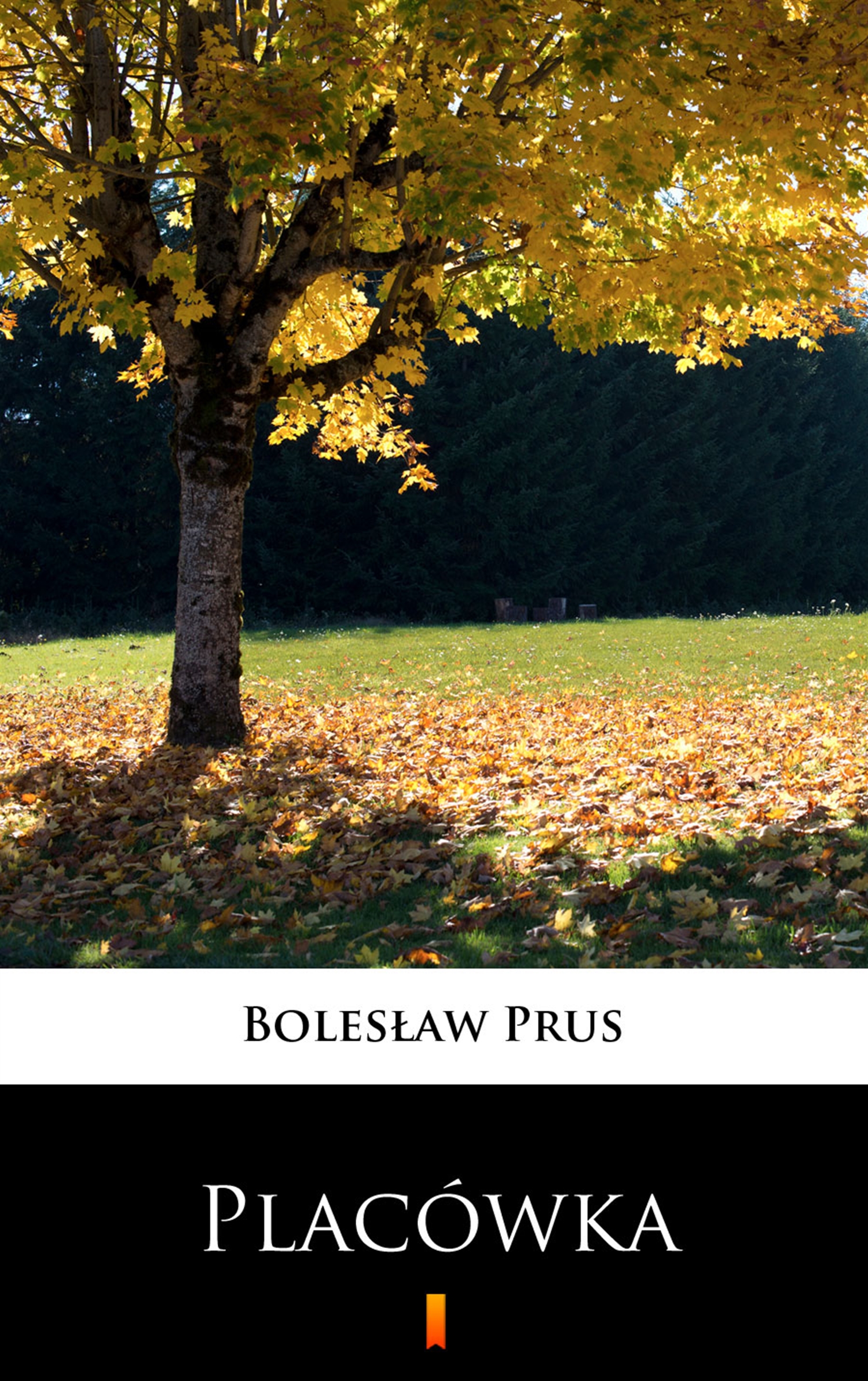Tytuł: Placówka
Autor: Bolesław Prus
Wydawnictwo: KtoCzyta.pl
Formaty: EPUB, MOBI