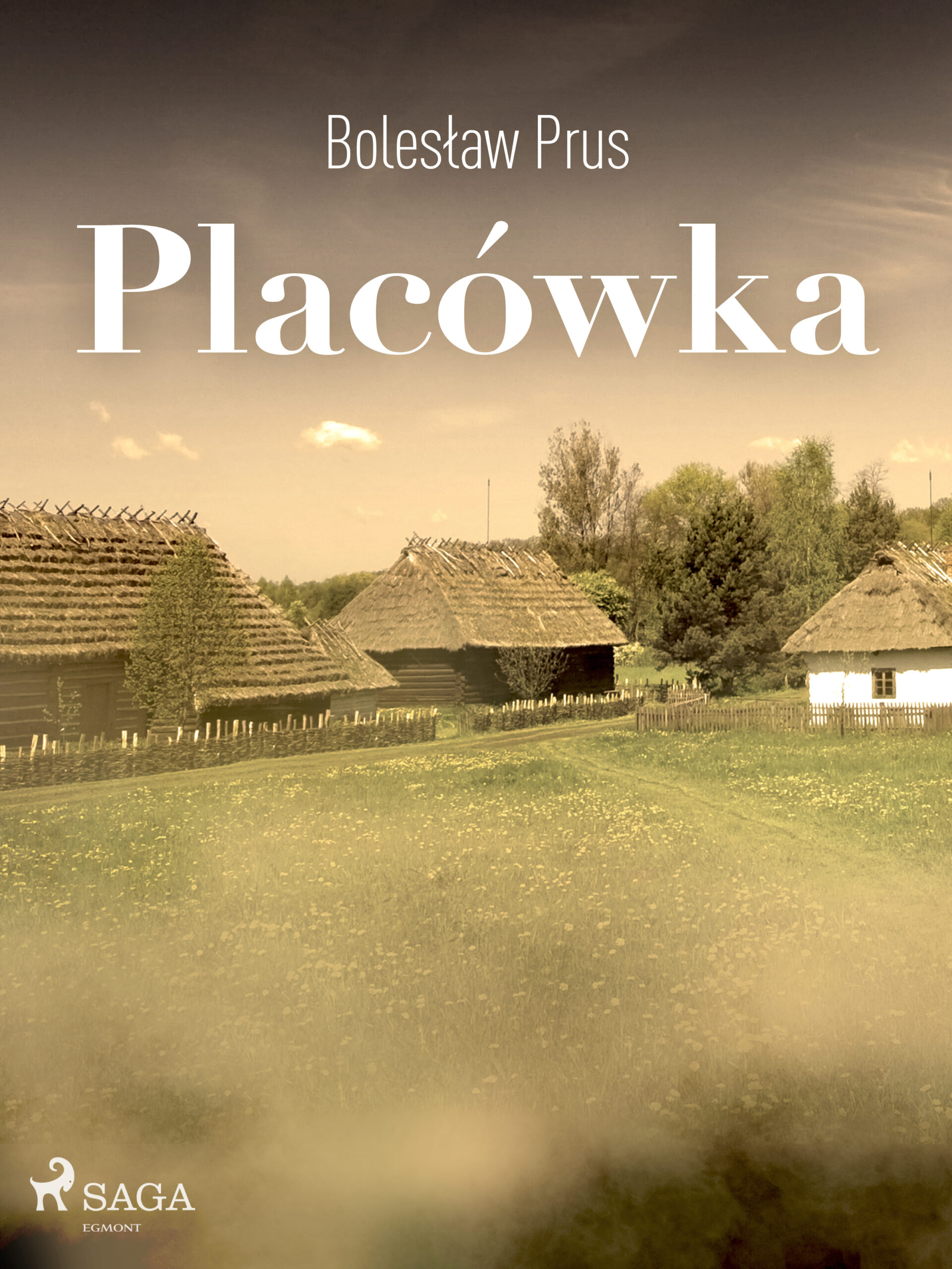 Tytuł: Placówka
Autor: Bolesław Prus
Wydawnictwo: SAGA Egmont
Formaty: EPUB, MOBI