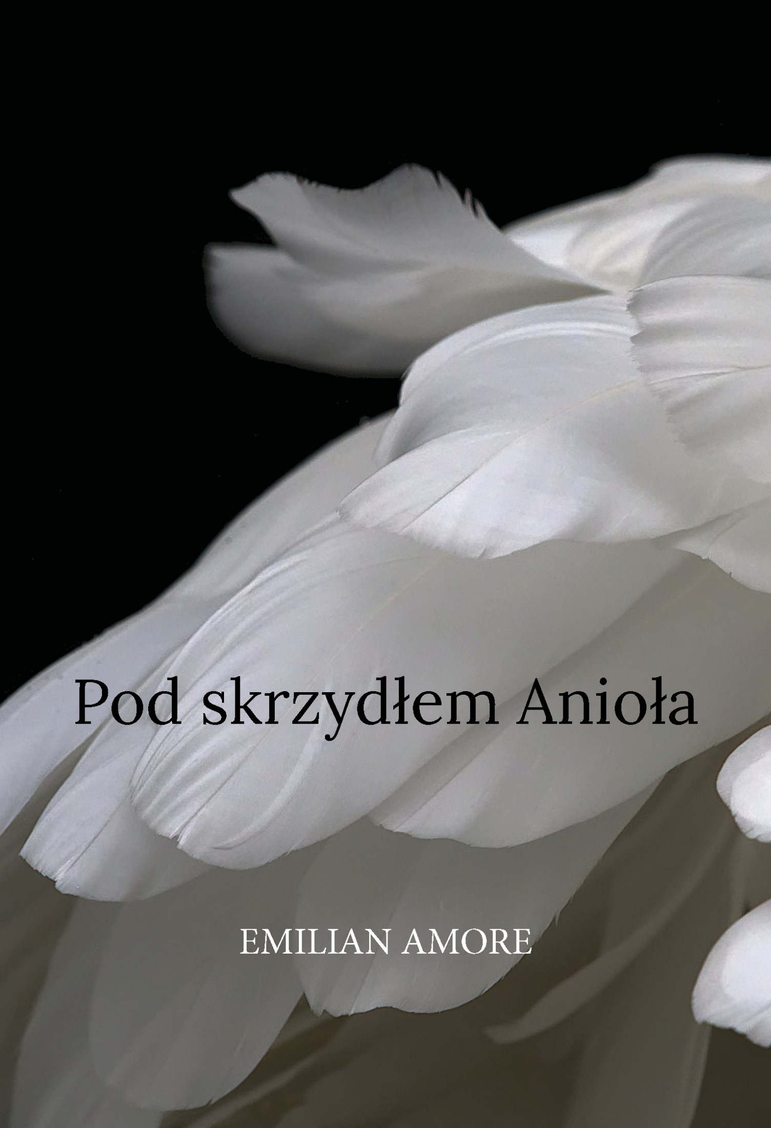 Pod skrzydłem Anioła — okładka e-booka