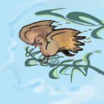 Tytuł: Pod wiatr
Autor: Anna Kiesewetter
Wydawnictwo: Wydawnictwo e-bookowo
Formaty: MOBI, PDF, EPUB