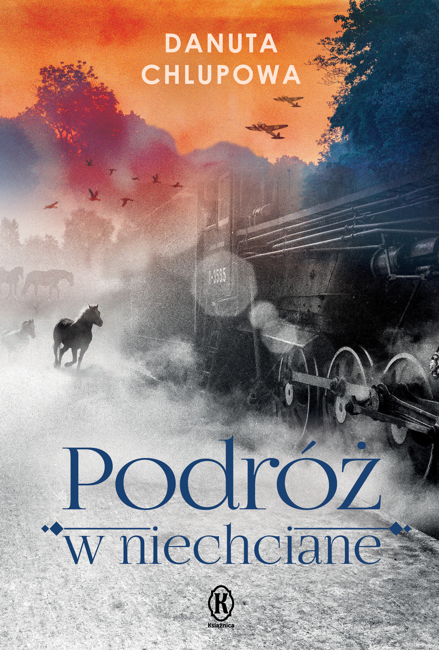Podróż w niechciane — okładka e-booka