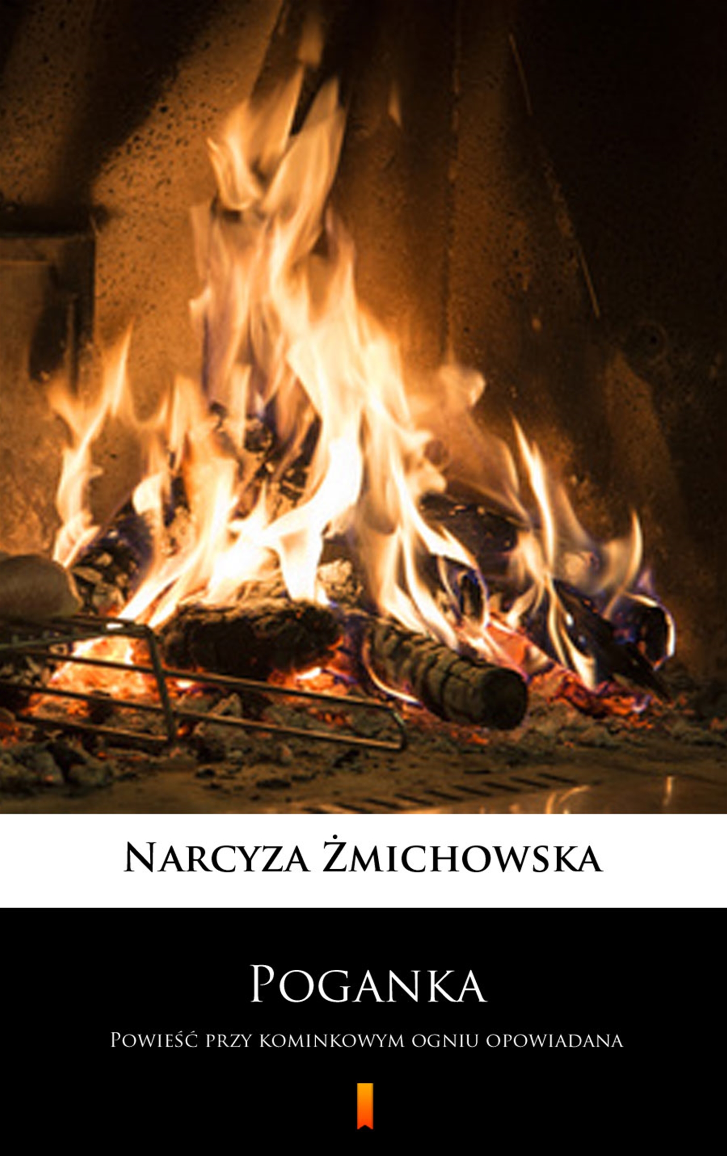 Tytuł: Poganka. Powieść przy kominkowym ogniu opowiadana
Autor: Narcyza Żmichowska
Wydawnictwo: KtoCzyta.pl
Formaty: EPUB, MOBI