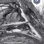 Tytuł: Polska - Rosja koniec "naszej wojny" tom. 11
Autor: Prof. dr hab. Witold Modzelewski
Wydawnictwo: Instytut Studiów Podatkowych Modzelewski i Wspólnicy
Formaty: PDF