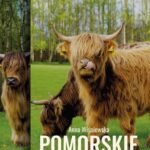 Tytuł: Pomorskie zagrody edukacyjne
Autor: Anna Wiśniewska
Wydawnictwo: Uniwersytet Pomorski w Słupsku
Formaty: PDF