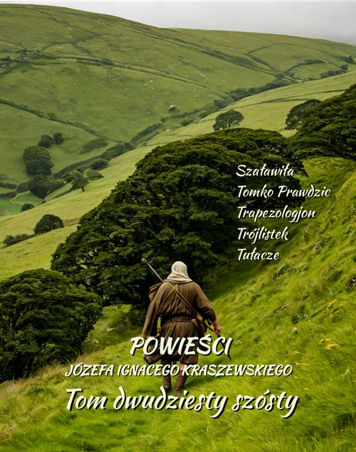 Tytuł: Powieści Józefa Ignacego Kraszewskiego. Tom 26
Autor: Józef Ignacy Kraszewski
Wydawnictwo: Armoryka
Formaty: MOBI, EPUB