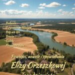 Tytuł: Powieści, nowele i opowiadania Elizy Orzeszkowej. Tom IX
Autor: Eliza Orzeszkowa
Wydawnictwo: Armoryka
Formaty: MOBI, EPUB