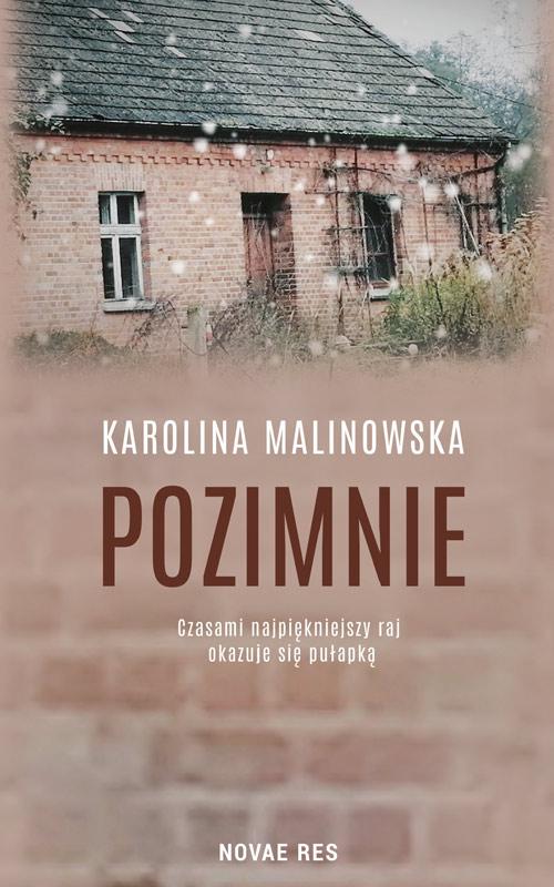 Pozimnie — okładka e-booka