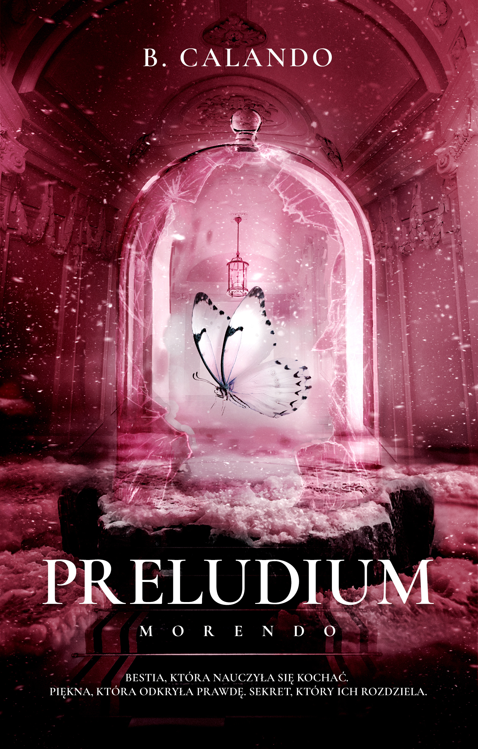 Tytuł: Preludium
Autor: B. Calando
Wydawnictwo: Muza
Formaty: EPUB, MOBI