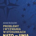 Problemy i wyzwania w stosunkach NATO - Unia Europejska — okładka e-booka