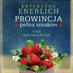 Prowincja pełna smaków — okładka audiobooka