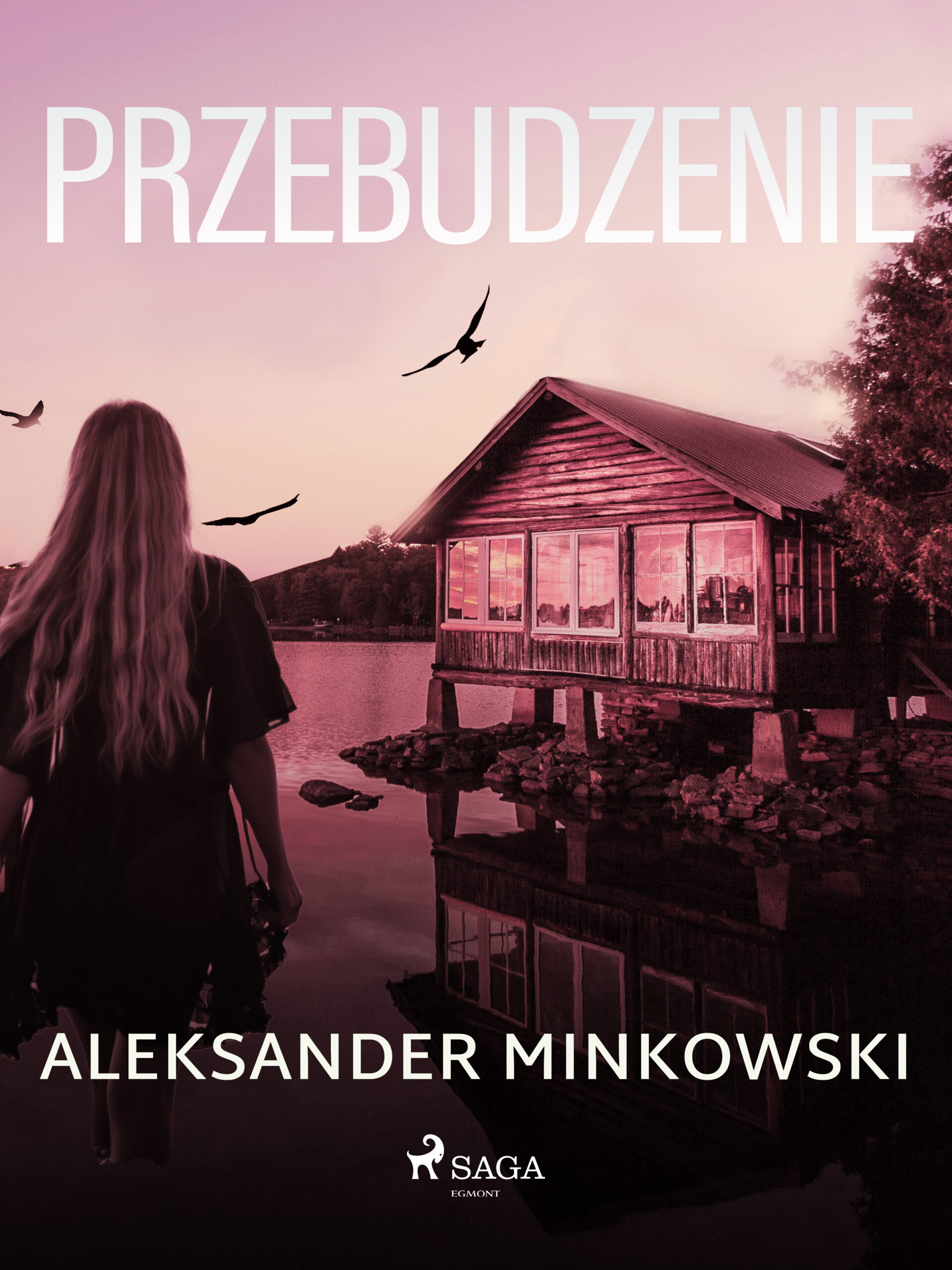 Tytuł: Przebudzenie
Autor: Aleksander Minkowski
Wydawnictwo: SAGA Egmont
Formaty: EPUB, MOBI