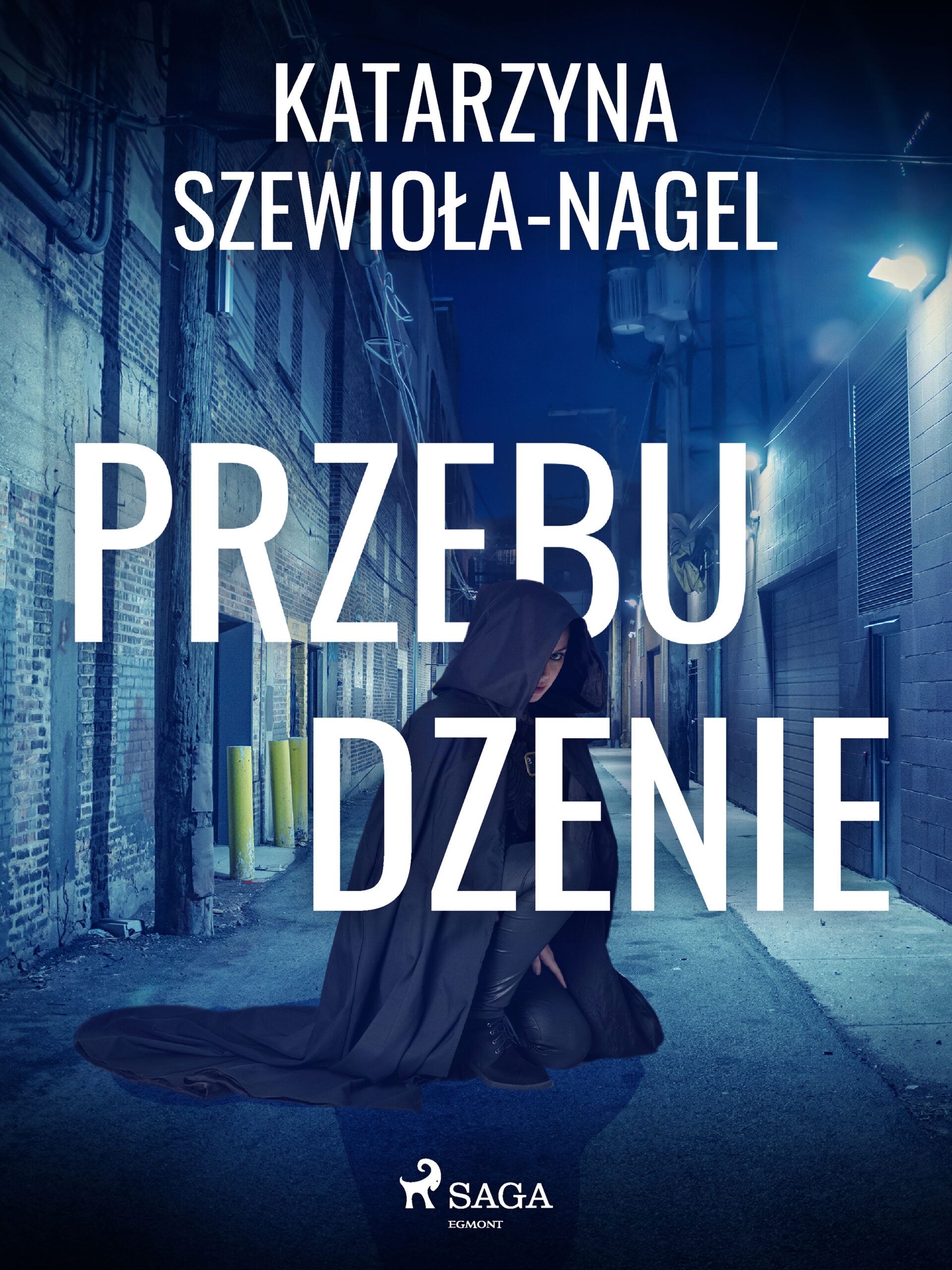 Tytuł: Przebudzenie
Autor: Katarzyna Szewioła Nagel
Wydawnictwo: SAGA Egmont
Formaty: EPUB, MOBI