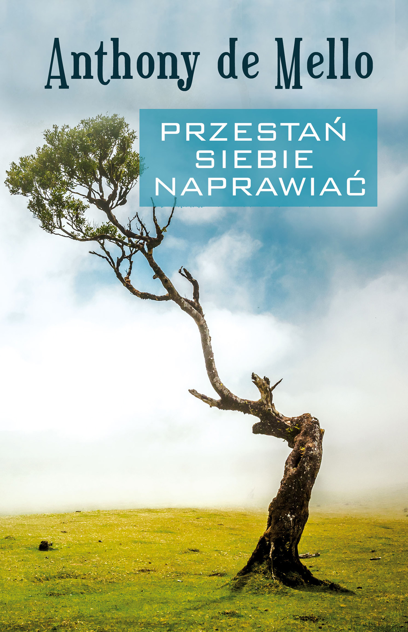 Tytuł: Przestań siebie naprawiać
Autor: Anthony de Mello
Wydawnictwo: Zysk i S-ka
Formaty: EPUB, MOBI