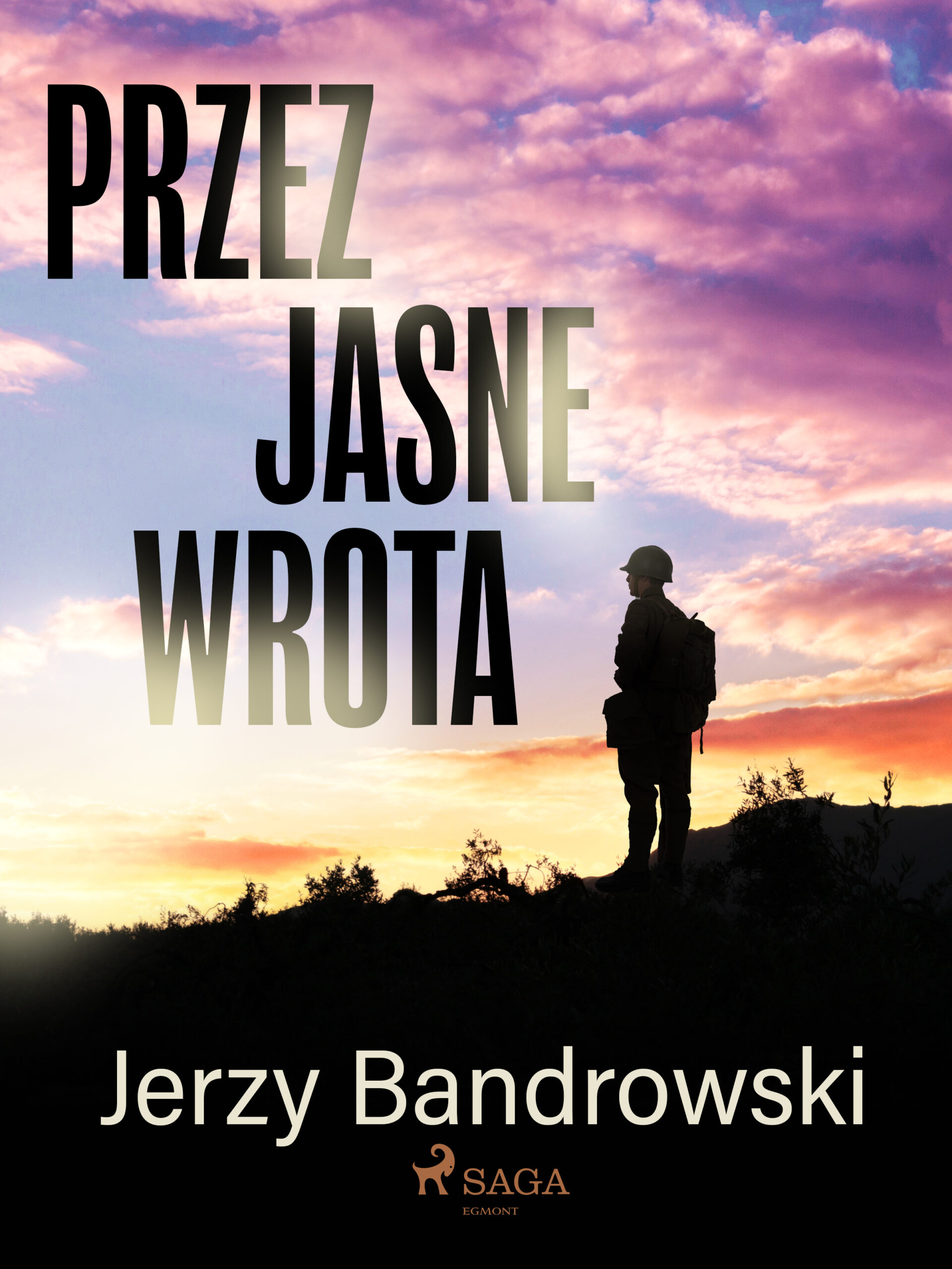 Tytuł: Przez jasne wrota
Autor: Jerzy Bandrowski
Wydawnictwo: SAGA Egmont
Formaty: EPUB, MOBI