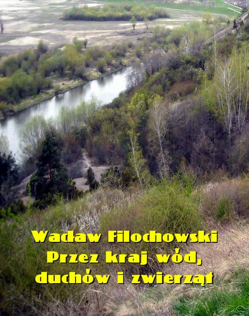 Tytuł: Przez kraj wód, duchów i zwierząt
Autor: Wacław Filochowski
Wydawnictwo: Armoryka
Formaty: MOBI, EPUB