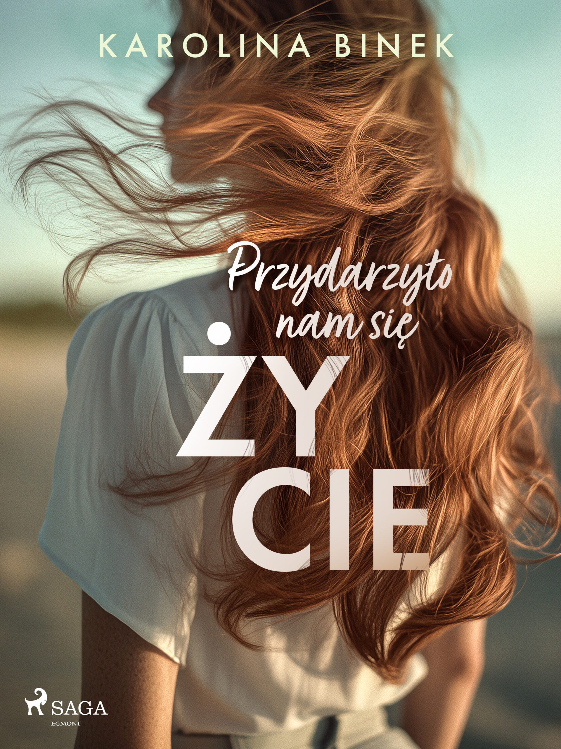 Przydarzyło nam się życie (#3) — okładka