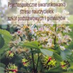 Psychospołeczne uwarunkowania stresu nauczycielek szkół podstawowych i gimnazjów — okładka e-booka