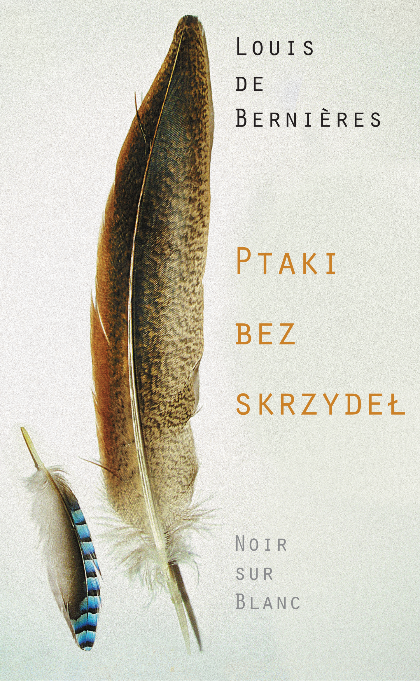 Ptaki bez skrzydeł — okładka e-booka