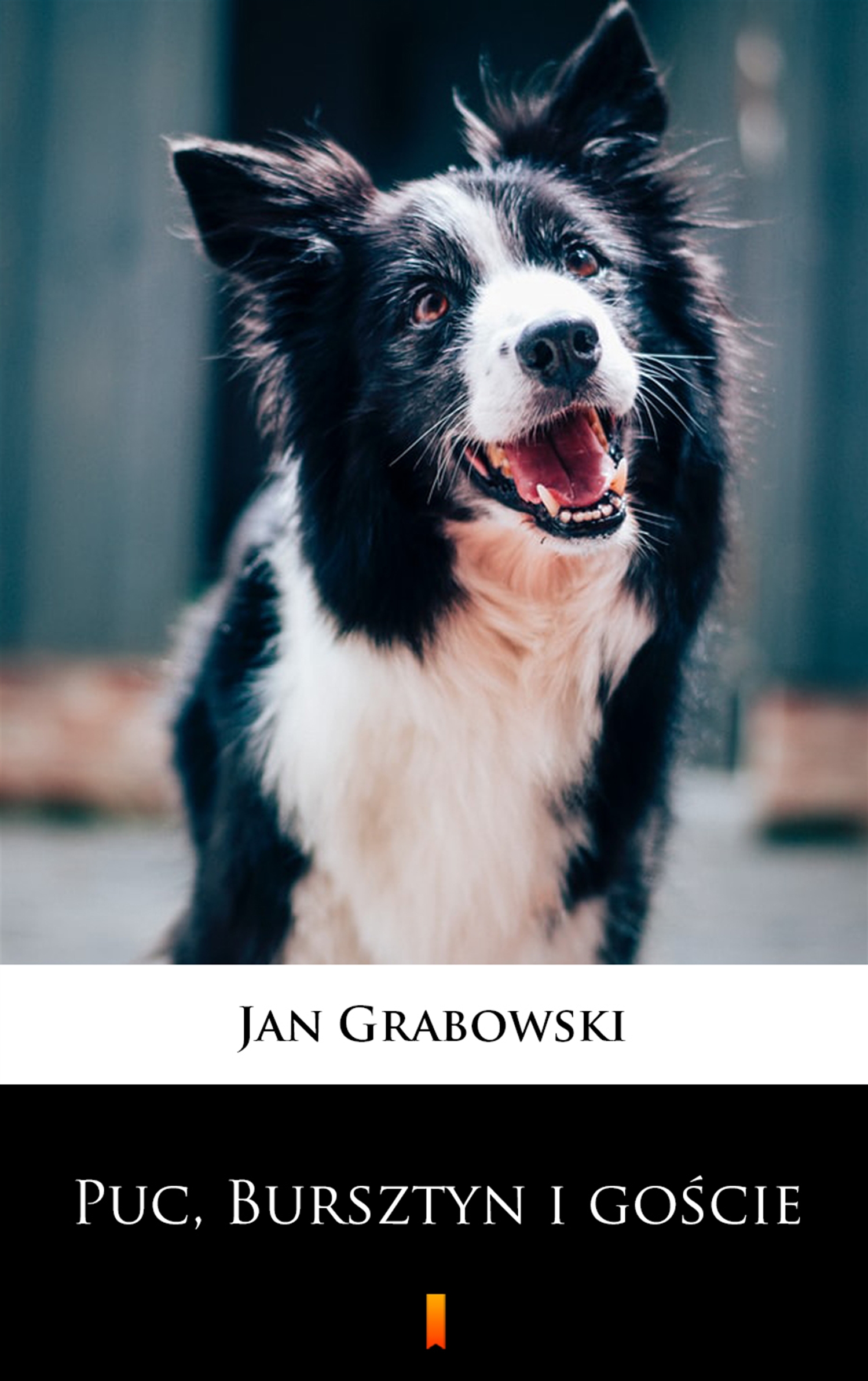 Tytuł: Puc, Bursztyn i goście
Autor: Jan Grabowski
Wydawnictwo: KtoCzyta.pl
Formaty: EPUB, MOBI