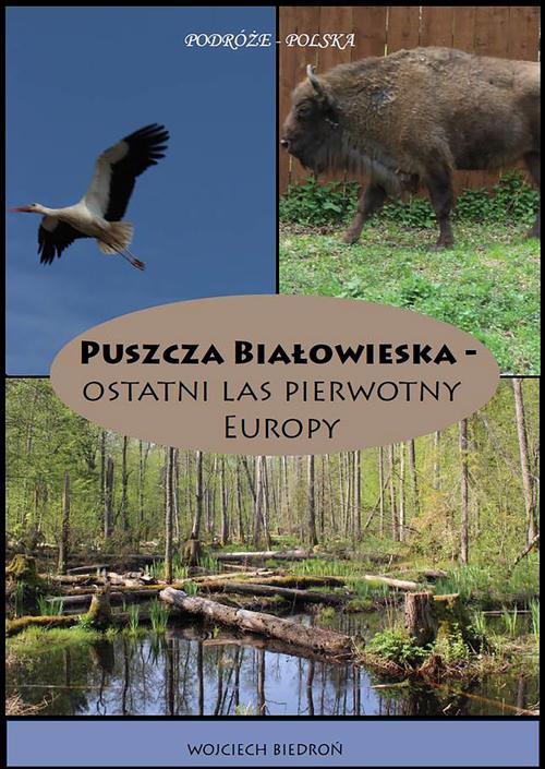 Tytuł: Puszcza Białowieska - Ostatni las pierwotny Europy
Autor: Wojciech Biedroń
Wydawnictwo: Wydawnictwo e-bookowo
Formaty: MOBI, EPUB, PDF